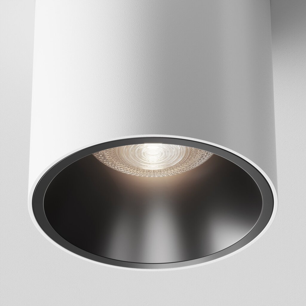Maytoni Tehniskā griestu lampa Alfa LED C064CL-L12W4K-D Balta cena un informācija | Griestu lampas | 220.lv