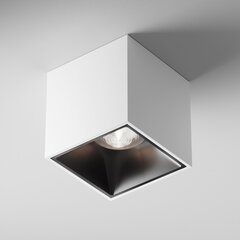 Maytoni Tehniskā griestu lampa Alfa LED C065CL-L12W4K-D цена и информация | Потолочные светильники | 220.lv