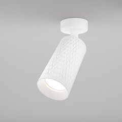 Maytoni Technical Griestu lampa Focus Design C034CL-01W цена и информация | Потолочные светильники | 220.lv