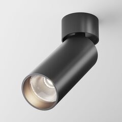 Maytoni Tehniskā griestu lampa FOCUS LED C055CL-L12B4K-W-D-B cena un informācija | Griestu lampas | 220.lv