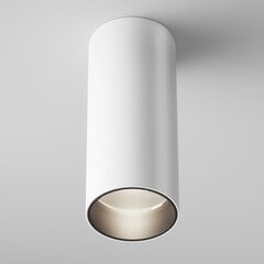 Maytoni Технический потолочный светильник FOCUS LED C056CL-L12W4K-W-D-W белый цена и информация | Потолочные светильники | 220.lv