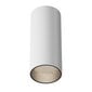Maytoni Tehniskā griestu lampa FOCUS LED C056CL-L12W4K-W-W cena un informācija | Griestu lampas | 220.lv