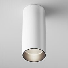 Maytoni Tehniskā griestu lampa FOCUS LED C056CL-L12W4K-W-W cena un informācija | Griestu lampas | 220.lv