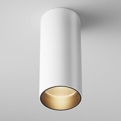 Maytoni Tehniskā griestu lampa FOCUS LED C056CL-L12W3K-W-D-W balta cena un informācija | Griestu lampas | 220.lv