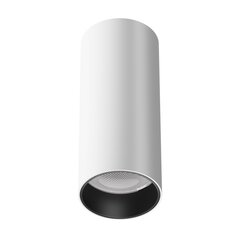 Maytoni Технический потолочный светильник FOCUS LED C056CL-L12W3K-W-D-W Белый цена и информация | Потолочные светильники | 220.lv