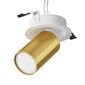 Maytoni Technical Stropu lampa FOCUS S C048CL-U-1WMG Balta un matēts zelts cena un informācija | Griestu lampas | 220.lv