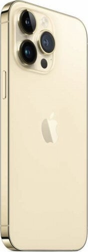 Apple iPhone 14 Pro Max 256GB Gold цена и информация | Mobilie telefoni | 220.lv