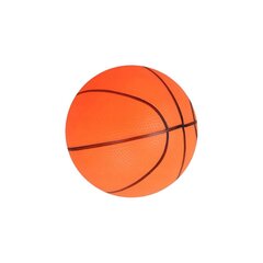 Enero basketbola dēlis cena un informācija | Basketbola grozi | 220.lv