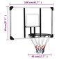 vidaXL basketbola vairogs, caurspīdīgs, 106x69x3 cm, polikarbonāts цена и информация | Basketbola grozi | 220.lv