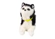 Interaktīvs plīša kaķēns, balts/melns cena un informācija | Mīkstās (plīša) rotaļlietas | 220.lv