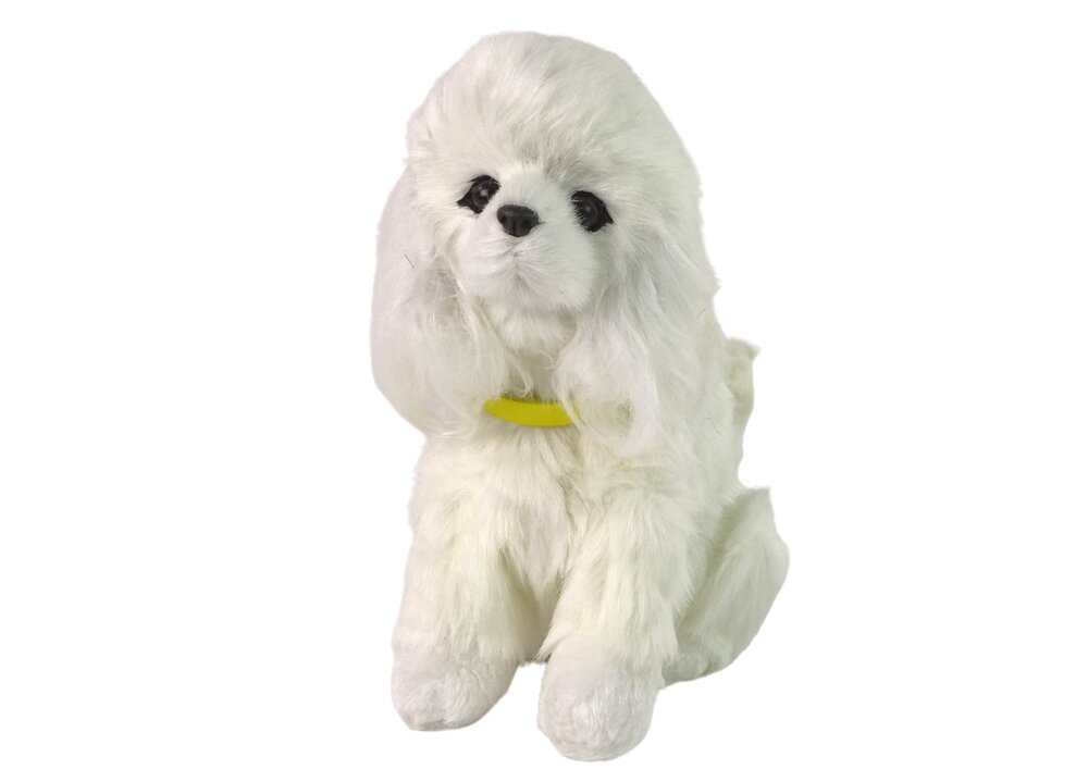 Interaktīvs plīša suns ,,Pūdelis'', balts cena un informācija | Mīkstās (plīša) rotaļlietas | 220.lv
