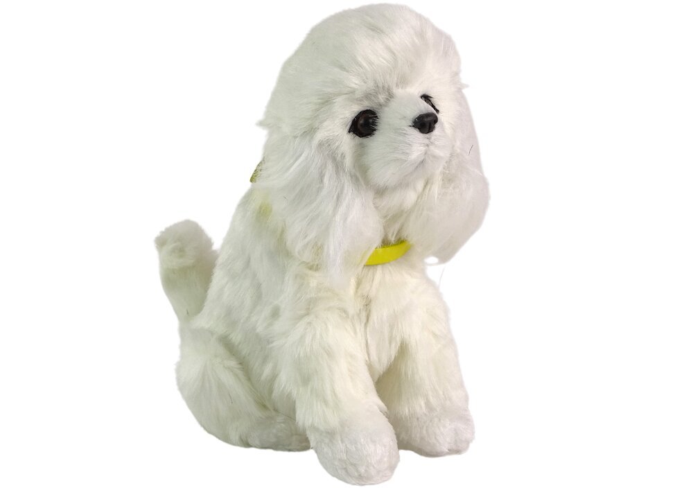 Interaktīvs plīša suns ,,Pūdelis'', balts cena un informācija | Mīkstās (plīša) rotaļlietas | 220.lv