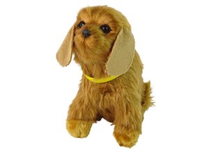 Интерактивная плюшевая собака ,,Кокер-спаниель'', коричневая цена и информация | Мягкие игрушки | 220.lv