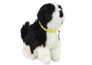 Интерактивная плюшевая собака ,,Бордер-колли'', белый/черный цена и информация | Мягкие игрушки | 220.lv