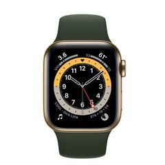 Apple Watch Series 6 40mm Gold Stainless Steel cena un informācija | Viedpulksteņi (smartwatch) | 220.lv