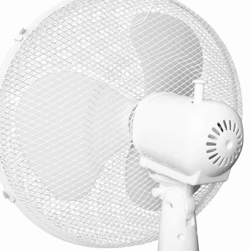 Staande ventilator Oceanic Balts 45 W cena un informācija | Ventilatori | 220.lv