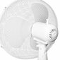 Staande ventilator Oceanic Balts 45 W cena un informācija | Ventilatori | 220.lv