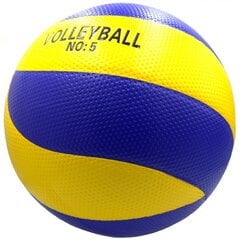 Волейбольный мяч цена и информация | Волейбольные мячи | 220.lv