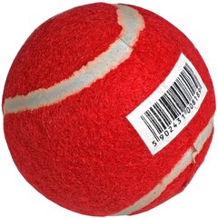 Теннисный мяч Enero цена и информация | Товары для большого тенниса | 220.lv