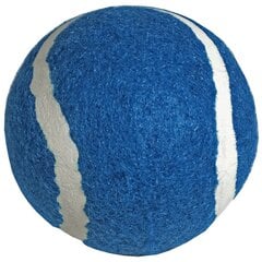Теннисный мячик Enero, синий цена и информация | Товары для большого тенниса | 220.lv