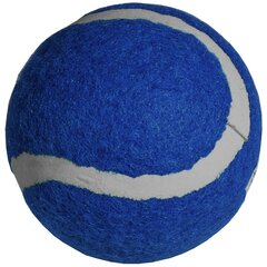Теннисный мячик Enero, синий цена и информация | Товары для большого тенниса | 220.lv