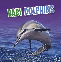 Baby Dolphins цена и информация | Книги для подростков и молодежи | 220.lv