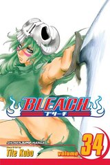 Bleach, Vol. 34: King of the Kill 11th, Vol. 34 цена и информация | Фантастика, фэнтези | 220.lv