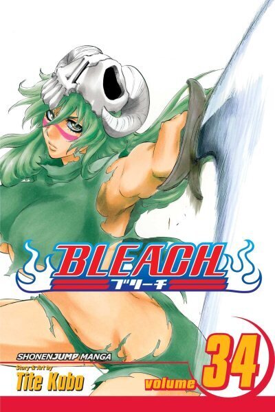 Bleach, Vol. 34: King of the Kill 11th, Vol. 34 cena un informācija | Fantāzija, fantastikas grāmatas | 220.lv