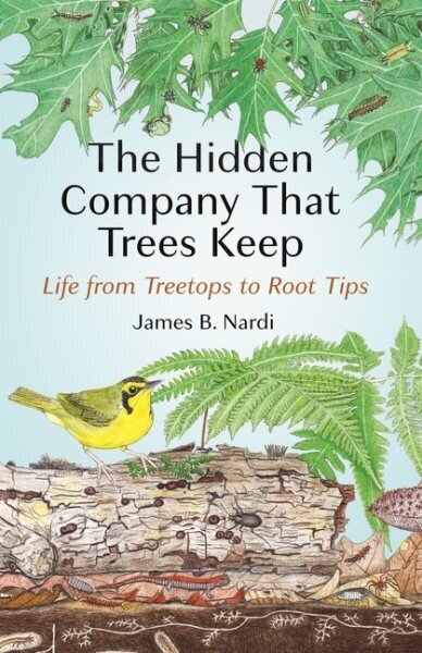 Hidden Company That Trees Keep: Life from Treetops to Root Tips цена и информация | Sociālo zinātņu grāmatas | 220.lv