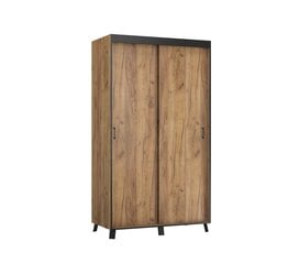 Skapis ADRK Furniture Bergamo, 200 cm, brūns cena un informācija | Skapji | 220.lv
