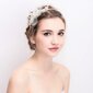 Kāzu galvas saite Frcolor Crystal, Peal Flower Hair Band Tiara цена и информация | Matu aksesuāri | 220.lv