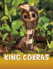 King Cobras cena un informācija | Grāmatas pusaudžiem un jauniešiem | 220.lv