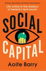 Social Capital: Life Online in the Shadow of Ireland's Tech Boom cena un informācija | Ekonomikas grāmatas | 220.lv