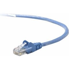 Жесткий сетевой кабель UTP кат. 6 Belkin A3L793BT10MBLHS 10m цена и информация | Кабели и провода | 220.lv