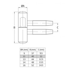 Pirksteņģe 20B, 14*48mm, misiņota, 4 gab. цена и информация | Дверные петли и другие принадлежности | 220.lv