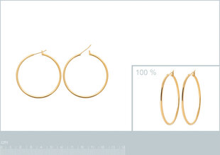 Серьги с золотым покрытием 750°, ⌀ 40mm,  произведено во Франции цена и информация | Серьги | 220.lv