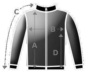 Vīriešu džemperis Bjorn Pilatus HE93465 cena un informācija | Vīriešu jakas | 220.lv