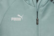 Vīriešu džemperis PUMA teamFINAL Casuals Hooded Jkt 657383 34 цена и информация | Vīriešu jakas | 220.lv