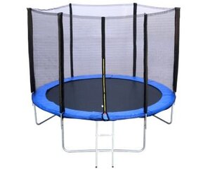 Dārza batuts R-Sport 8FT 252 cm. ar tīklu un kāpnēm цена и информация | Батуты | 220.lv