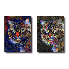Двухчастная картина «Кошка» DKD Home Decor, 50 x 2 x 70 cм цена и информация | Картины | 220.lv
