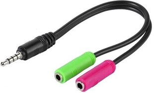 Vivanco kabelis 3.5mm - 2x3.5mm 0.1m (45499) cena un informācija | Adapteri un USB centrmezgli | 220.lv