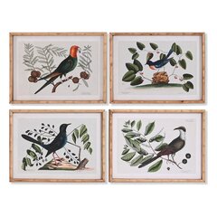 Картина DKD Home Decor птицы, 65 x 16.5 x 50.2 см, 4 шт. цена и информация | Картины | 220.lv
