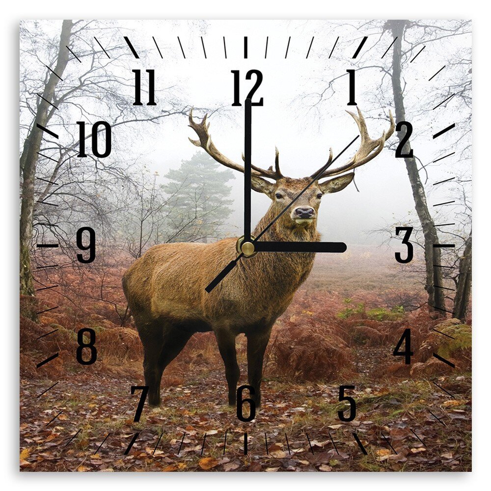 Sienas pulkstenis, Briedis, 40x40cm cena un informācija | Pulksteņi | 220.lv