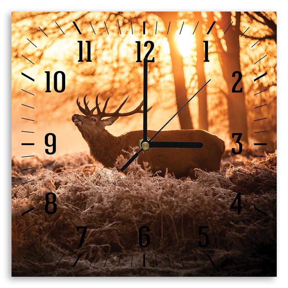 Sienas pulkstenis, Brieži saulītē, 80x80cm цена и информация | Pulksteņi | 220.lv