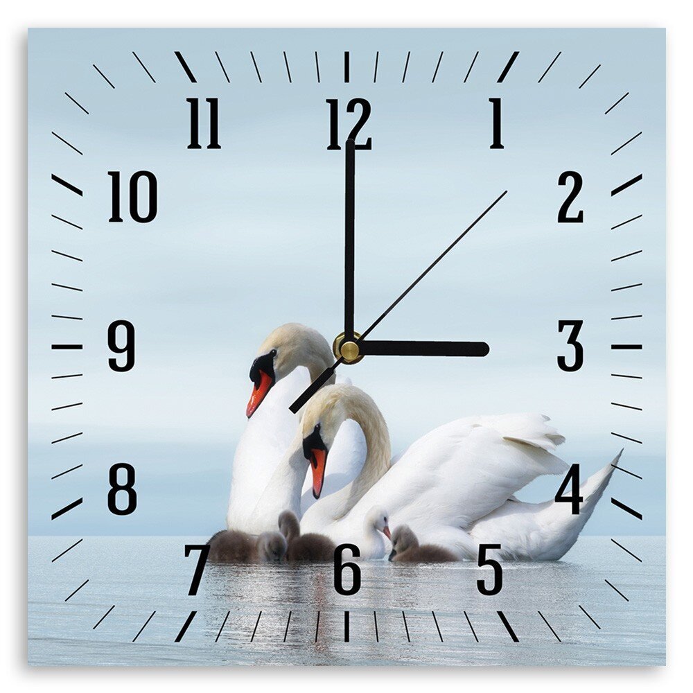 Sienas pulkstenis, Gulbju ģimene, 40x40cm cena un informācija | Pulksteņi | 220.lv