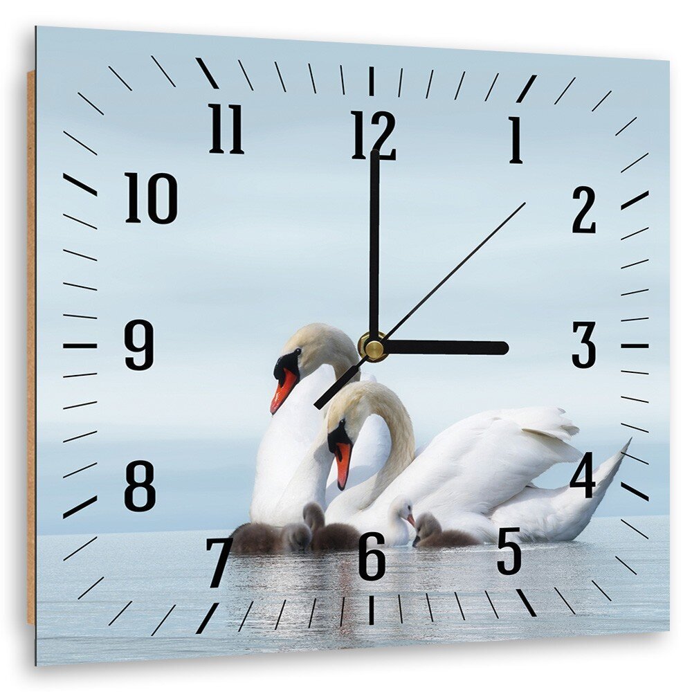 Sienas pulkstenis, Gulbju ģimene, 40x40cm цена и информация | Pulksteņi | 220.lv
