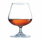 Vīna glāzes Luminarc Spirit Bar Caurspīdīgs Stikls (250 ml) (Pack 6x) цена и информация | Glāzes, krūzes, karafes | 220.lv