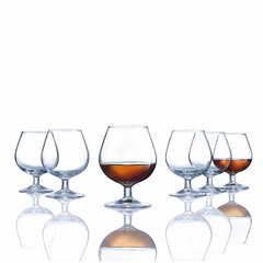 Vīna glāzes Luminarc Spirit Bar Caurspīdīgs Stikls (250 ml) (Pack 6x) cena un informācija | Glāzes, krūzes, karafes | 220.lv