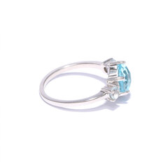 Серебряное кольцо SGVR017162T цена и информация | Кольца | 220.lv