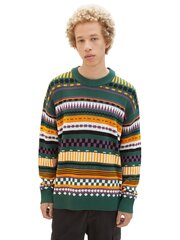 Tom Tailor vīriešu džemperis, zaļš cena un informācija | Vīriešu džemperi | 220.lv